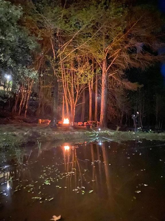  Sítio Nossa Floresta
