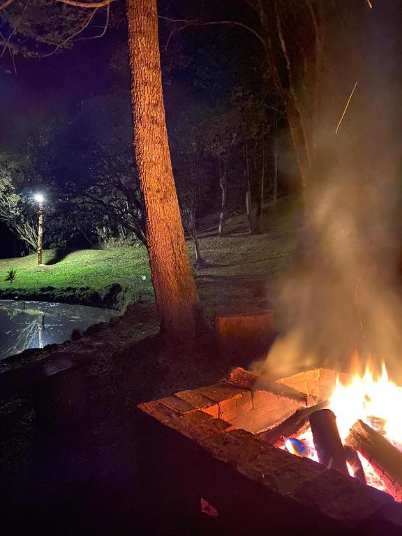  Sítio Nossa Floresta