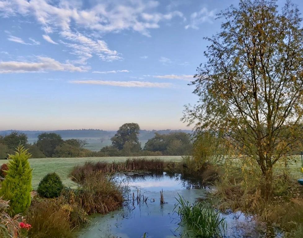um pequeno lago no meio de um campo em Kingfisher Nook at Waveney Farm em Hoxne