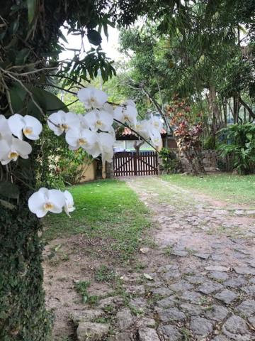 ein Baum mit weißen Blumen auf der Seite in der Unterkunft Chalés Bambá in Ilhabela