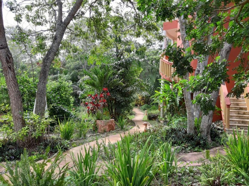 Zahrada ubytování Eco-Hotel Nueva Altia