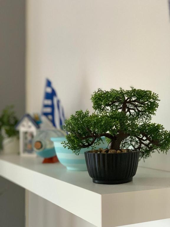 Zdjęcie z galerii obiektu Lucas Lux Flogita apartment w mieście Flogita
