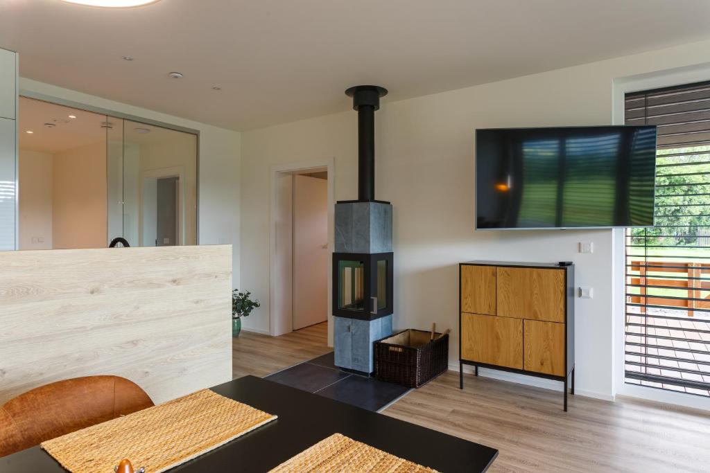 TV a/nebo společenská místnost v ubytování Apartmán na golfu