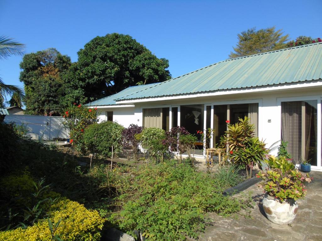 Zahrada ubytování IDC Guest House