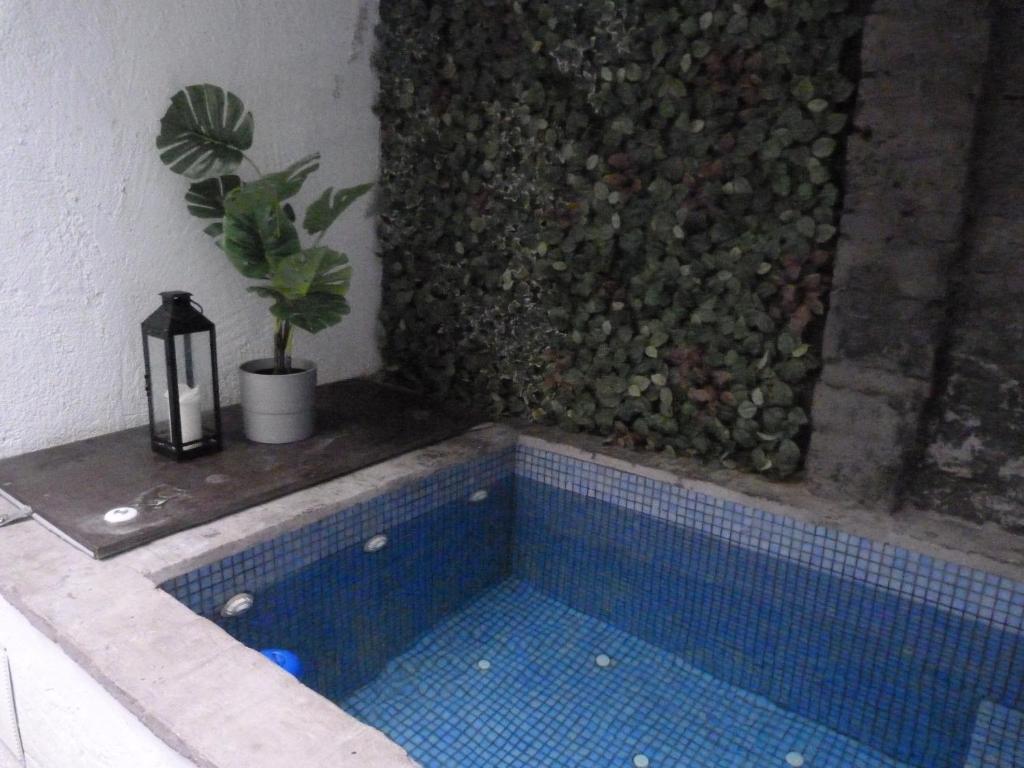 Pequeño Alojamiento con Mini Piscina - NO climatizada - Studio With Terrace