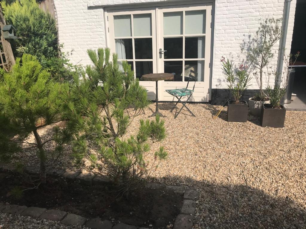 een tuin met planten voor een huis bij Bed and Breakfast Azzurro in Bokhoven