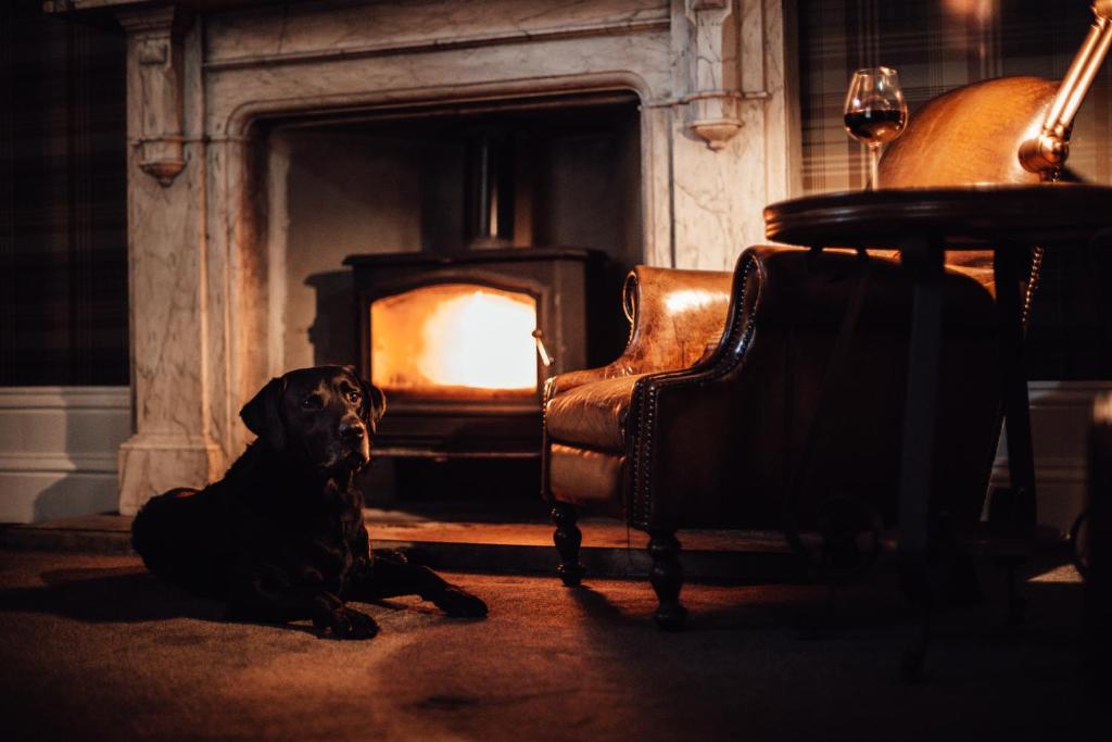 Posezení v ubytování Falcon Manor Hotel