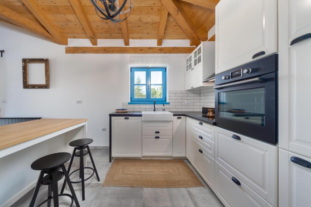 Kuchyňa alebo kuchynka v ubytovaní Villa Aria Istria