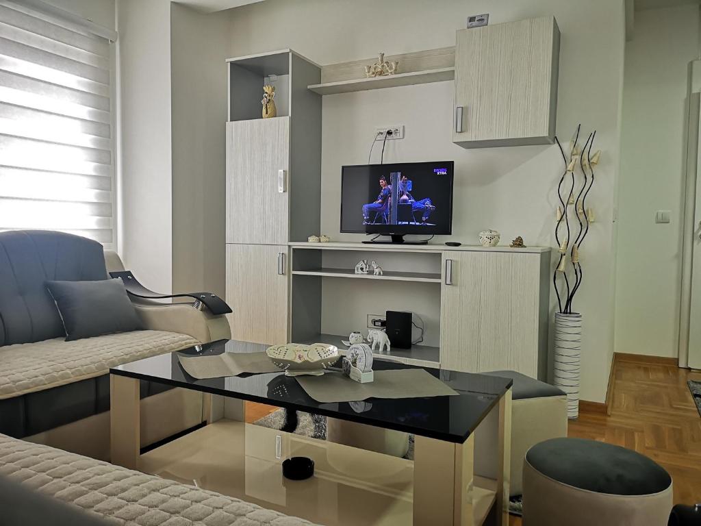 TV a/nebo společenská místnost v ubytování Apartman Novak Zlatar