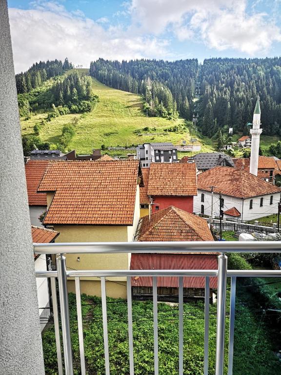 Příroda nedaleko apartmánu