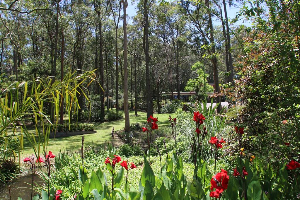 a garden with red flowers and trees at Werekataba in Mount Hutton
