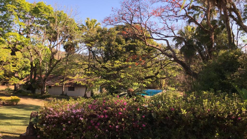  FAZENDA SAM
