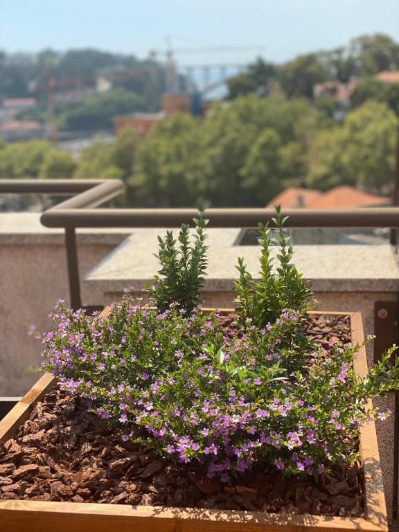 Vilar Oporto Hotel - Resim 12