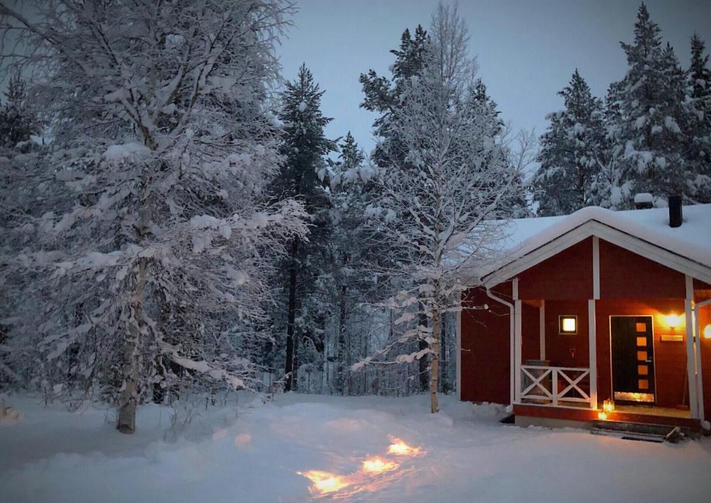 a small red cabin in the snow at night at Kuosto ja Luppo in Äkäslompolo