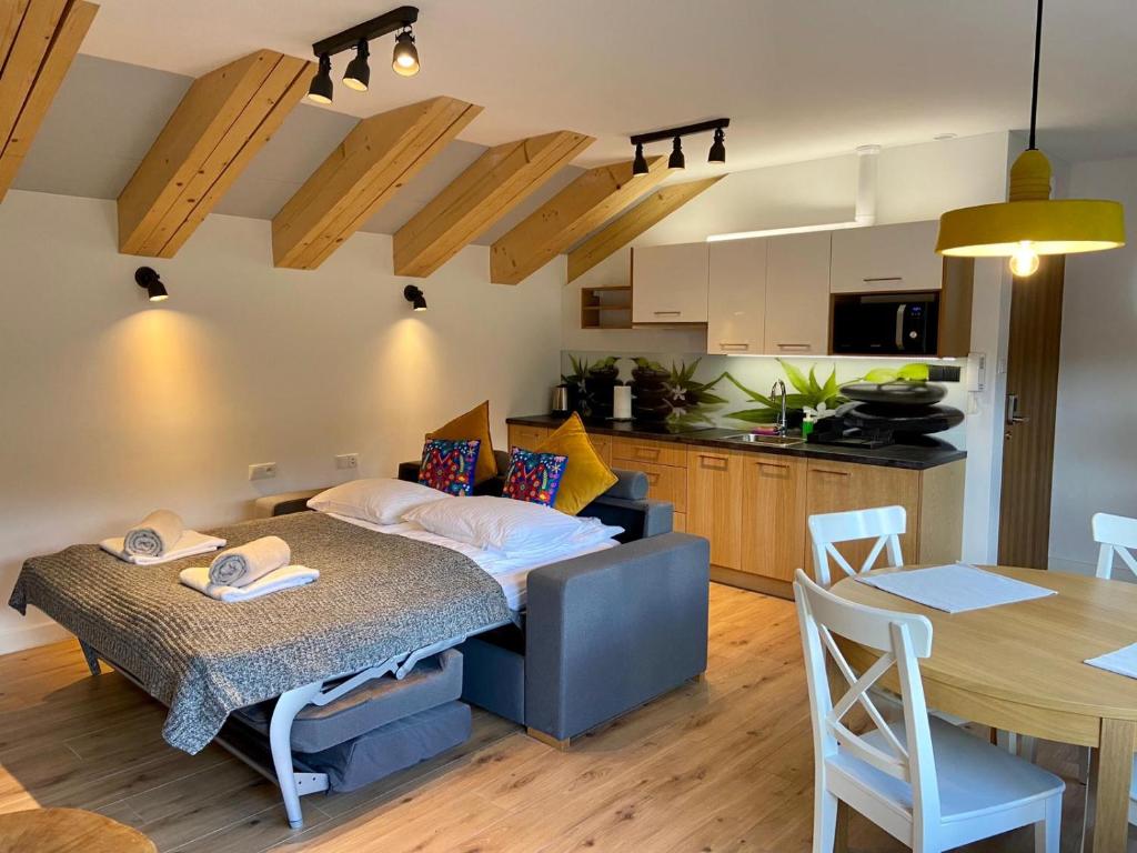 Złoty Widok Ski & Spa - Studio Apartment
