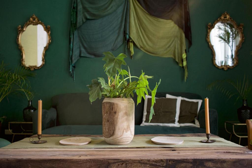 Fotografie z fotogalerie ubytování Ya'ax Hotel Boutique v destinaci Mérida