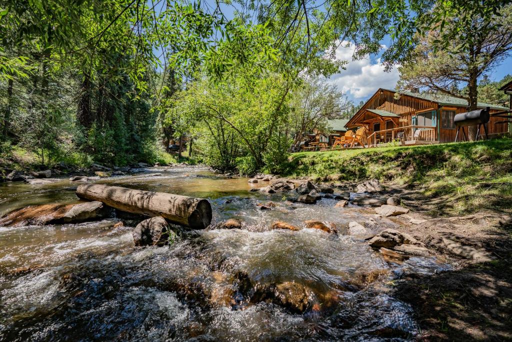 a river filled with trees and shrubbery next to a bridge at Colorado Bear Creek Cabins in Evergreen