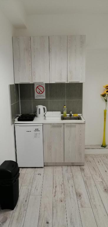 Kuchyň nebo kuchyňský kout v ubytování Mitić Apartmani 1