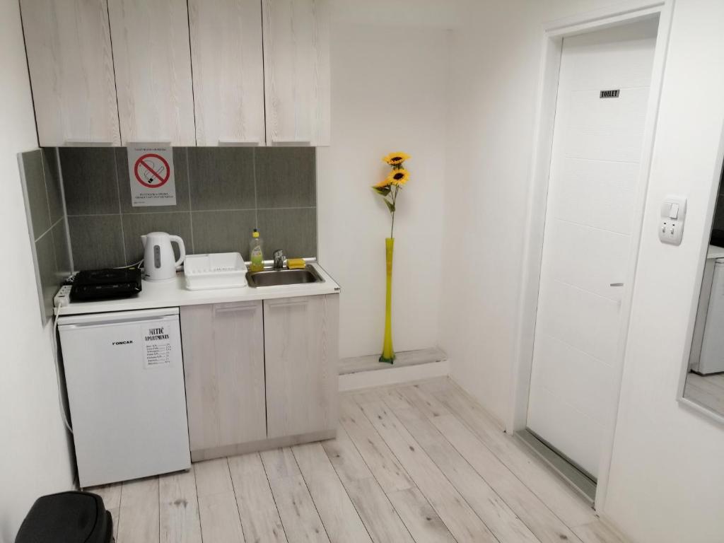 Kuchyň nebo kuchyňský kout v ubytování Mitić Apartmani 1