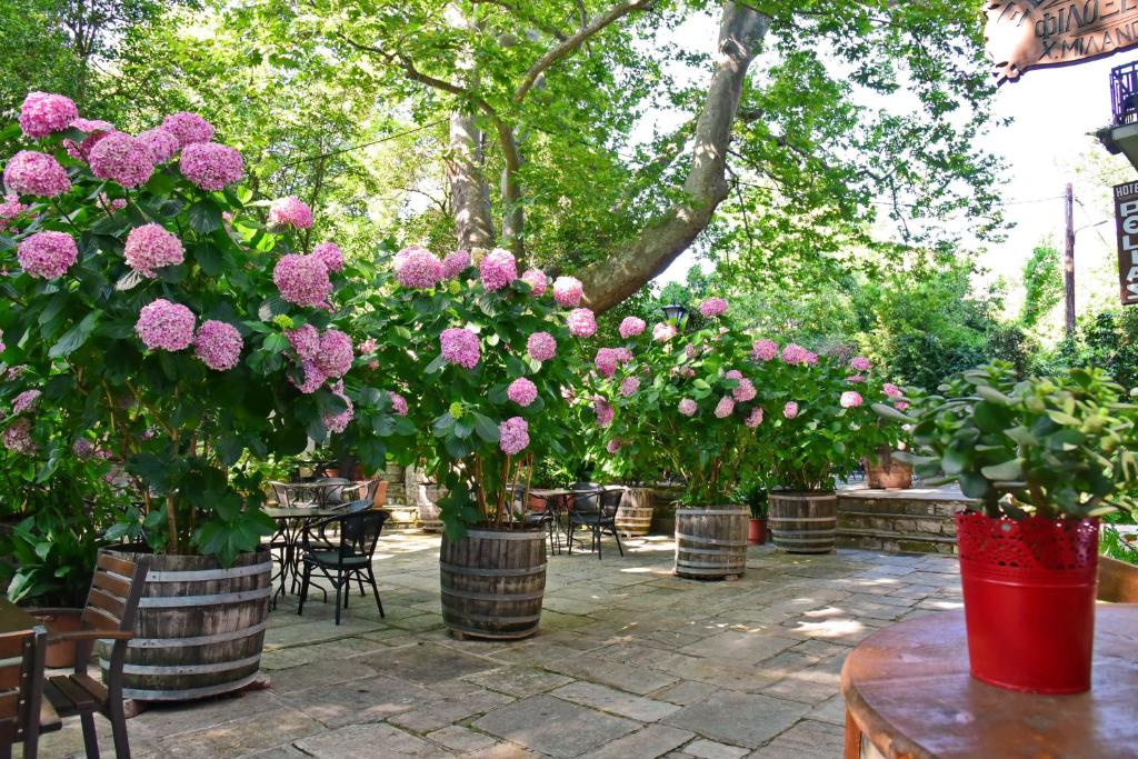 Zahrada ubytování Hotel Filoxenia
