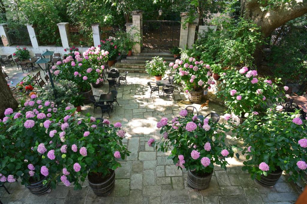 Zahrada ubytování Hotel Filoxenia