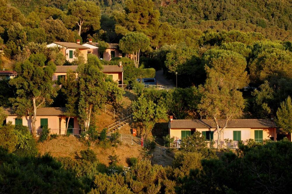 un groupe de maisons sur une colline plantée d'arbres dans l'établissement Camping Village Rosselba Le Palme, à Portoferraio