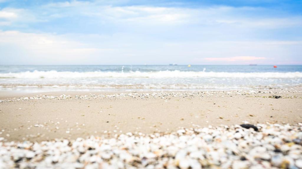 Villa Baltycka - Resim 37