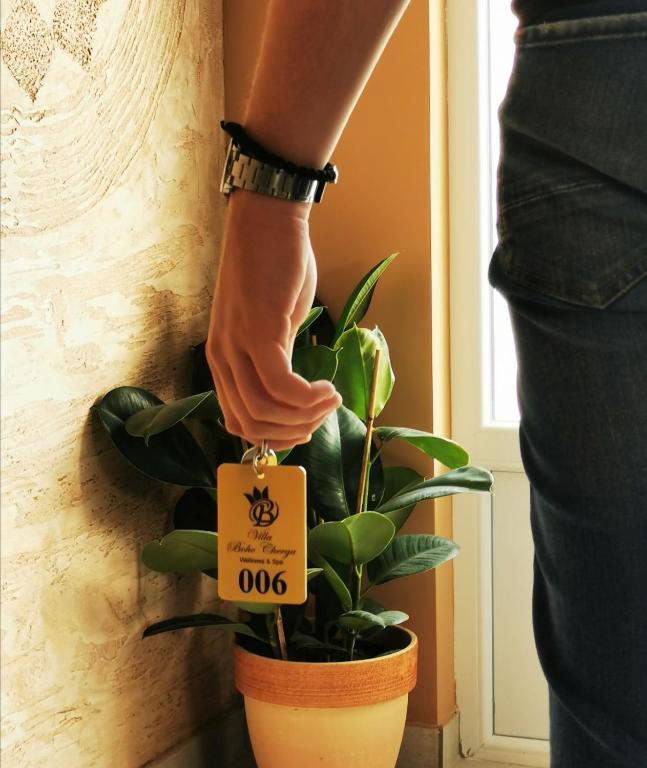 Villa Boho Cherga - Resim 28