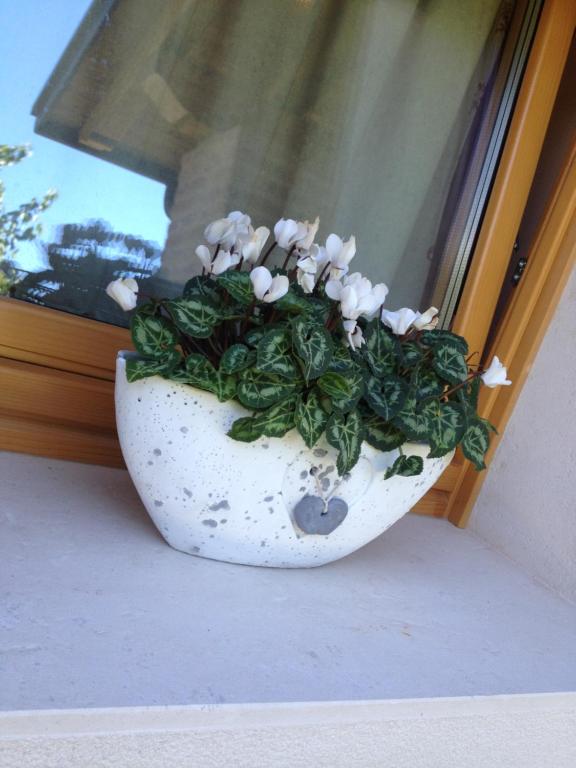 Fotografie z fotogalerie ubytování Gai De Sora Bio charming B&B v destinaci Miane
