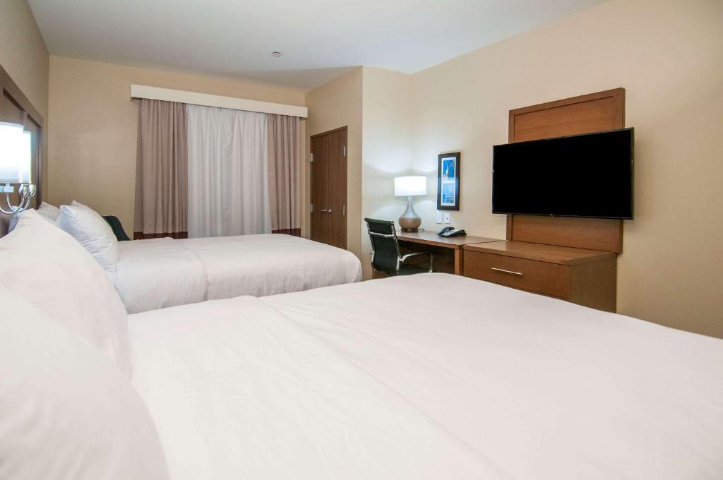 Comfort Inn & Suites Downtown near University photo