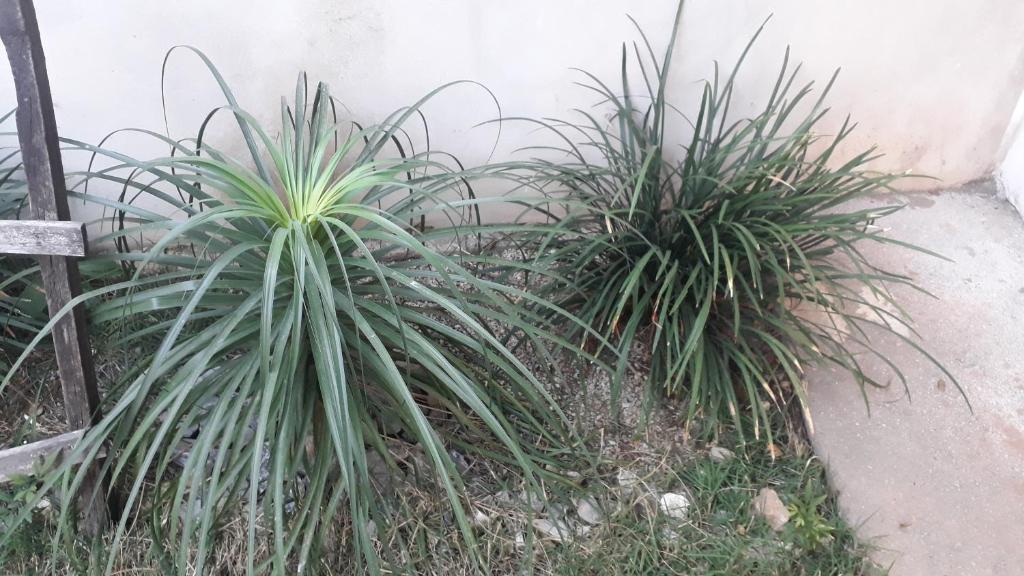  Casa Glória Temporada
