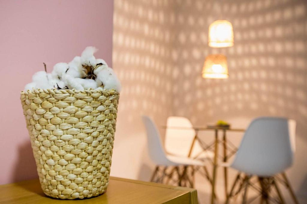  Flor de Algodão! Apartamento próximo ao Centro Político