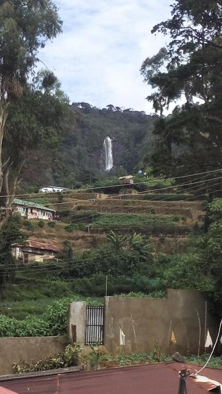 20/20 wood cabana - 2