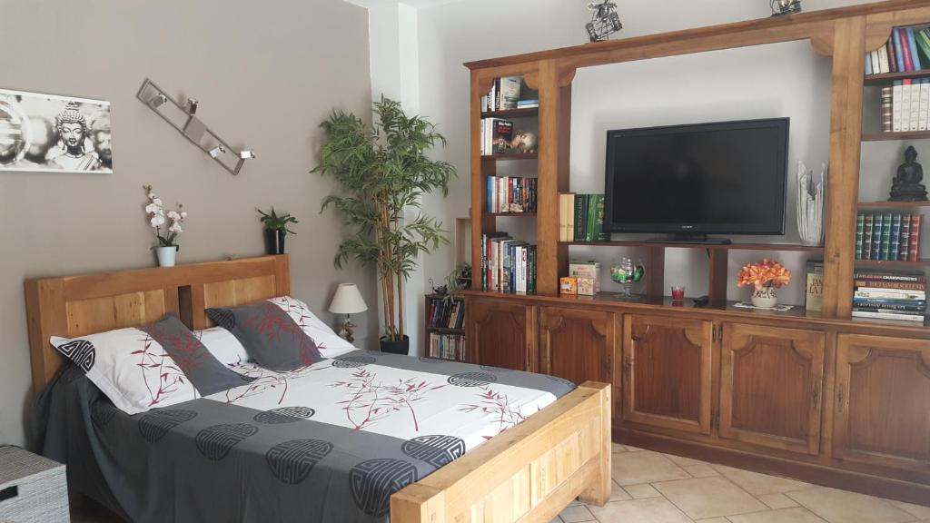 1 dormitorio con 1 cama y TV de pantalla plana en Chambre L'Orchidée en Vallon-Pont-dʼArc