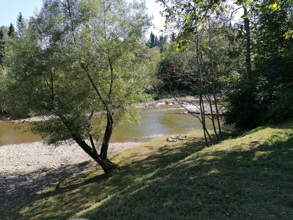 Leśniczówka Kalina - 18