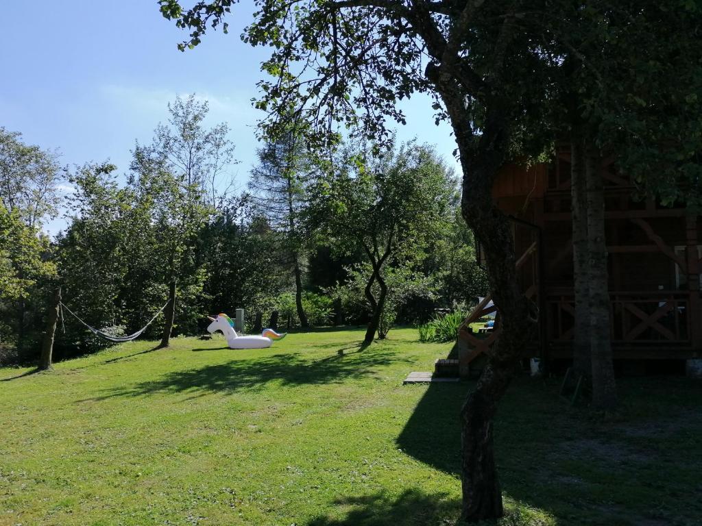 Leśniczówka Kalina - 15