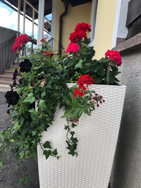 Zahrada ubytování Art Chic - your exklusive stay