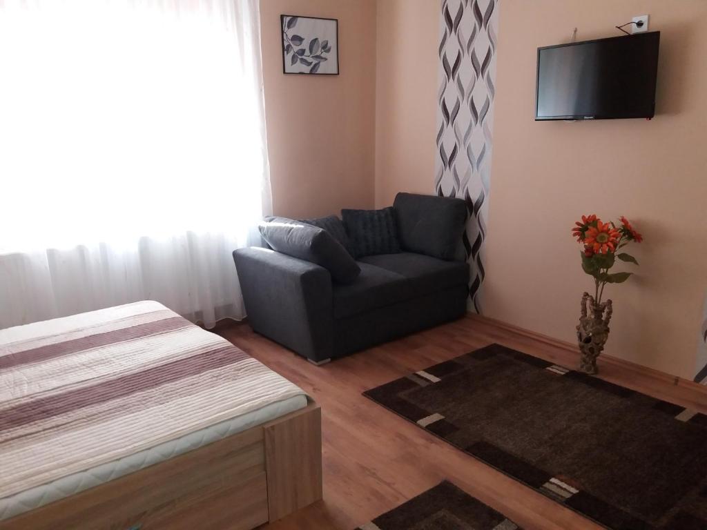 uma sala de estar com um sofá e uma televisão em Ezüstfenyő Vendégház em Sárospatak
