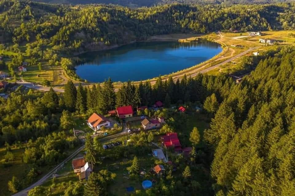 an aerial view of a lake with houses and trees at Forest Vibes Spa in Cîmpu lui Neag