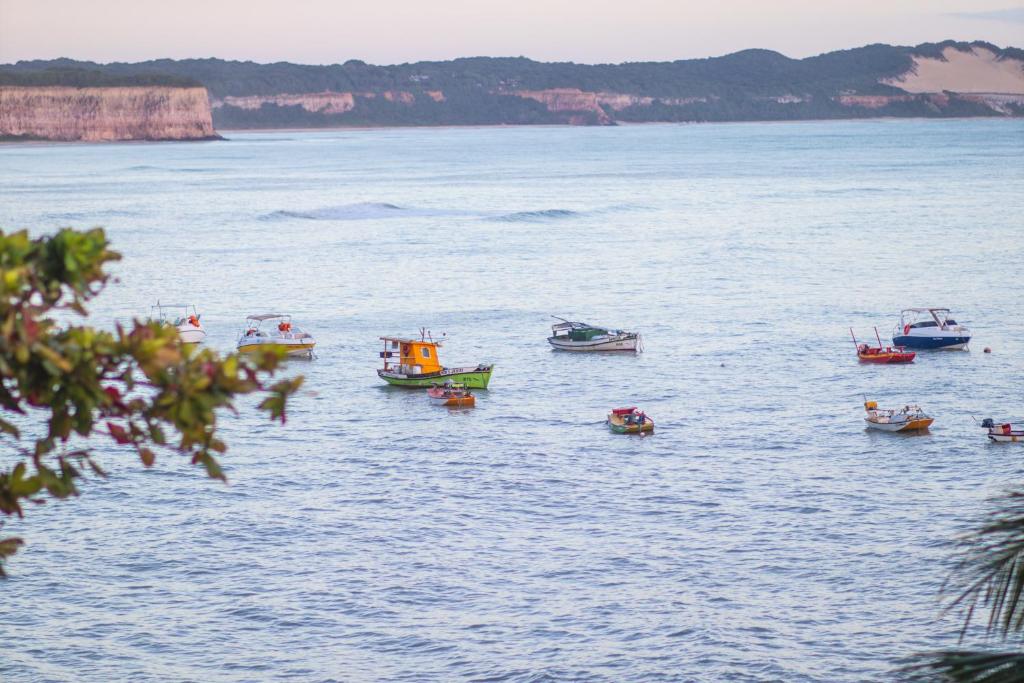  Flat Pipa's Bay