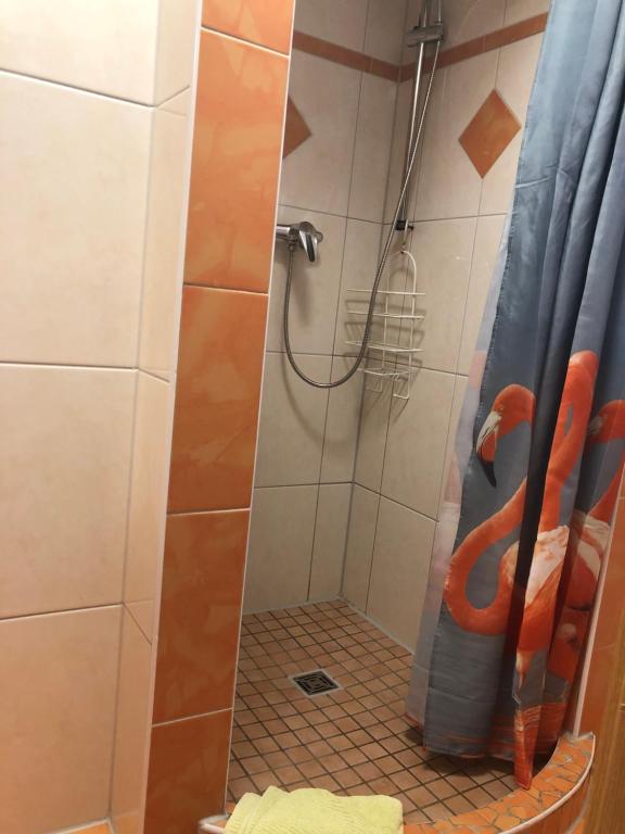 a shower with a blue shower curtain in a bathroom at Pension da Luigi in Greifswald