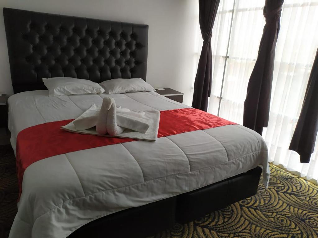 ein Schlafzimmer mit einem Bett mit einer Person, die darauf liegt in der Unterkunft Hotel Alexander in La Paz