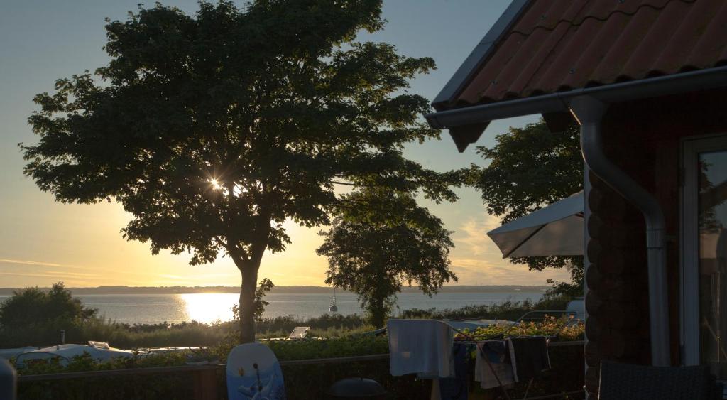 a tree in front of a house with the sunset at Emmerbølle Luksushytter med havudsigt in Tranekær