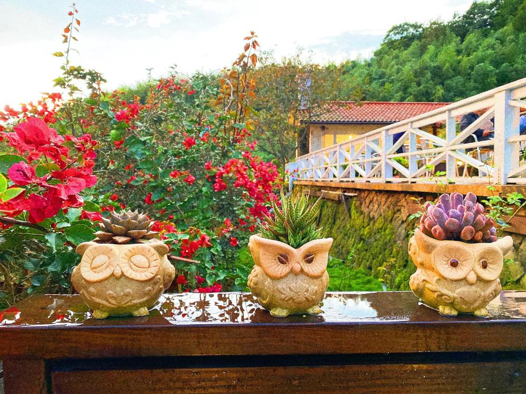 three vases sitting on a table in a garden at Alishan Tea Garden B&amp;B in Fenqihu
