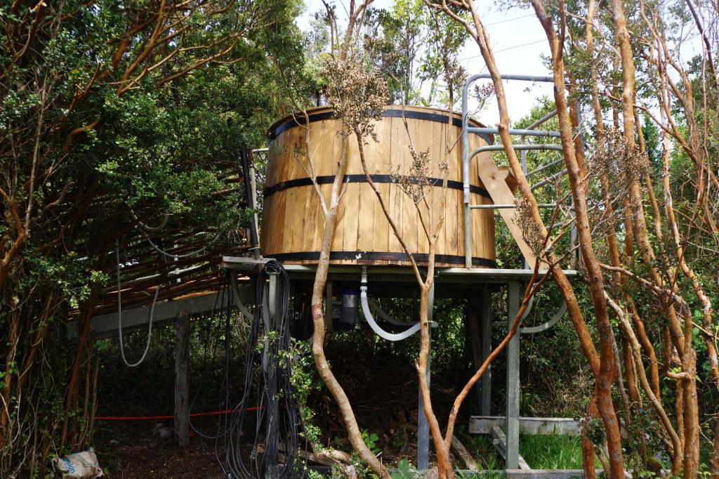 Zahrada ubytování Cabañas Vista Tranquila Chiloé