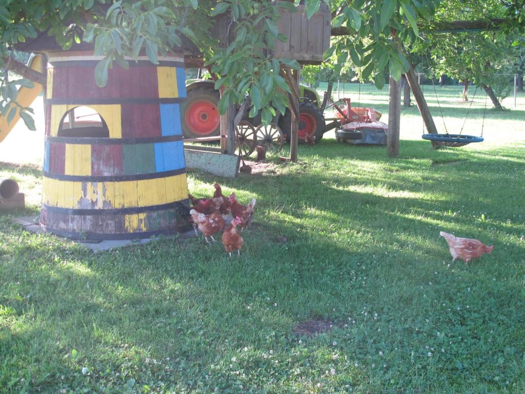 Vonkajšia záhrada v ubytovaní Gasthof Pension Rabl