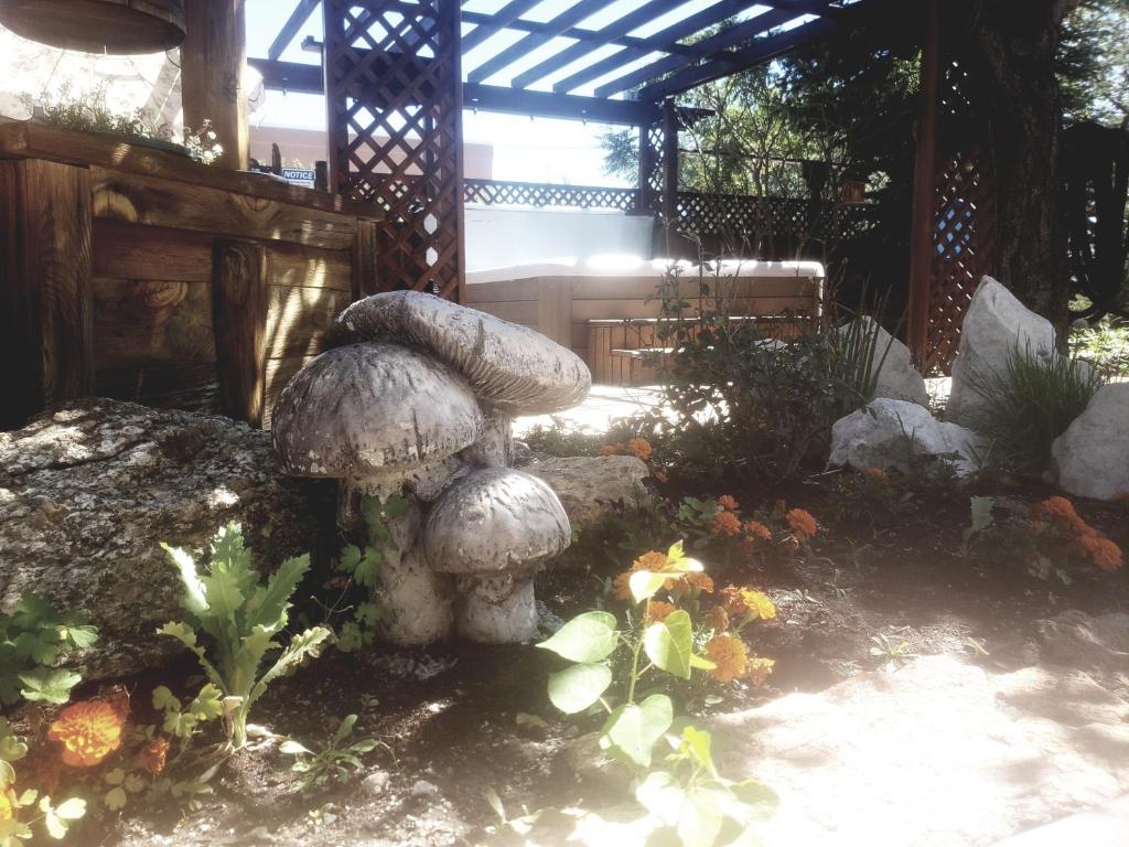a group of mushrooms in a garden at Browns Canyon Inn in Salida