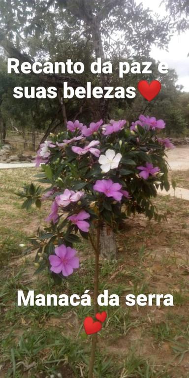  Chácara Recanto da Paz