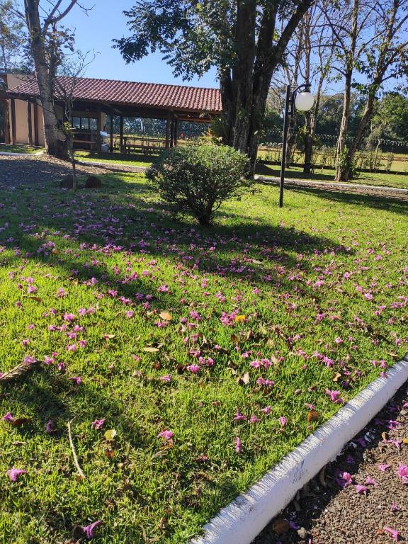  Park Golf Hostel Ipelandia