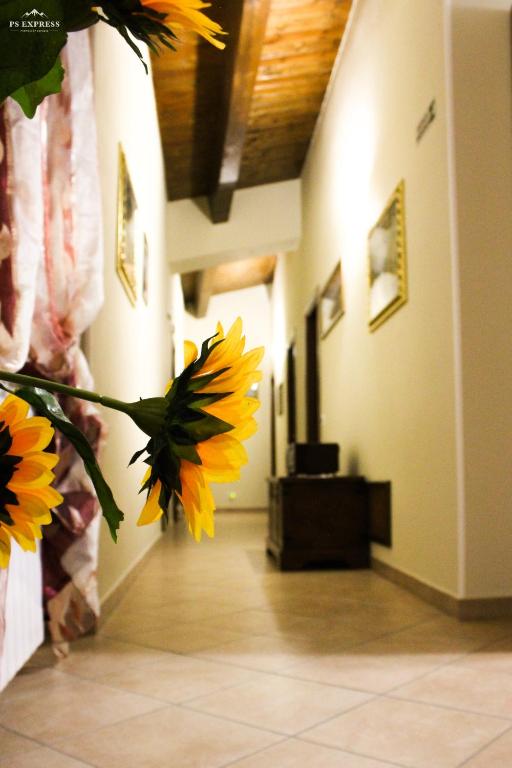 Fotografie z fotogalerie ubytování Agriturismo Aria Fina v destinaci Mormanno